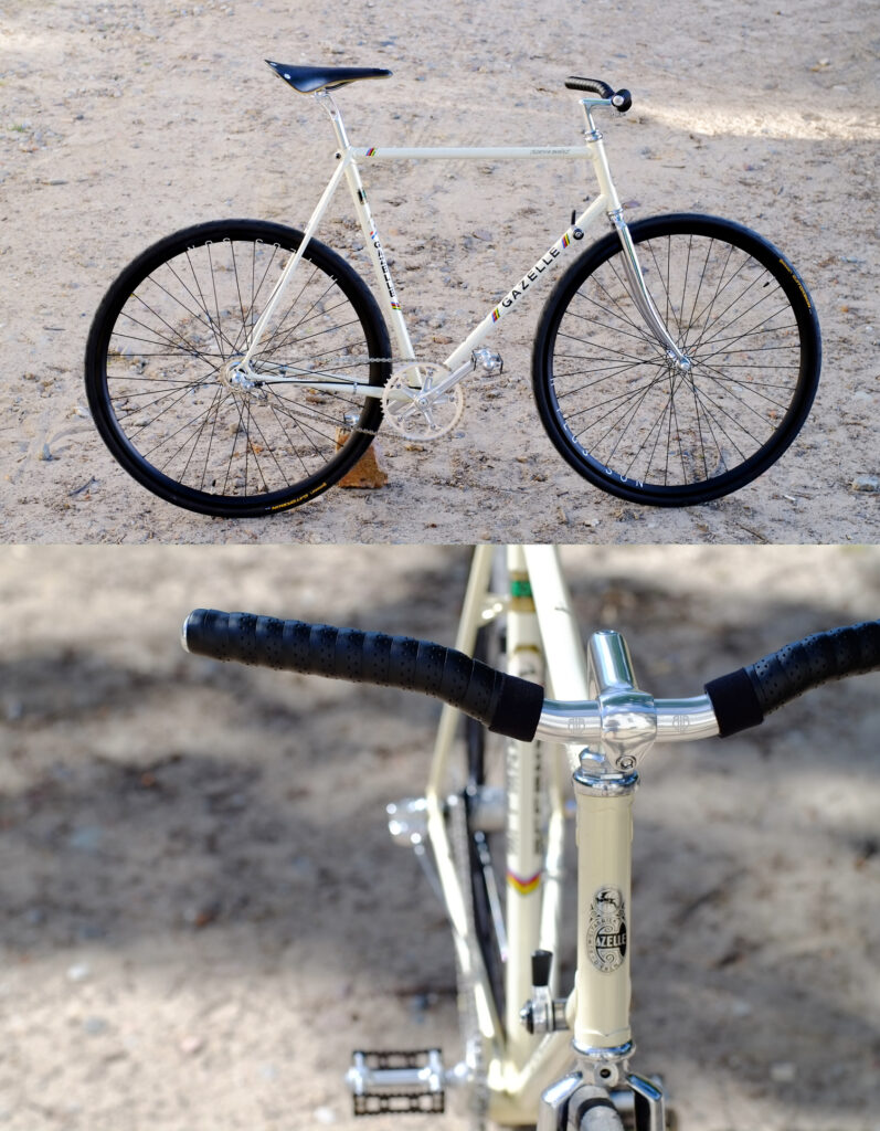 Gazelle Champion Mondial - Trixie Berlin Style