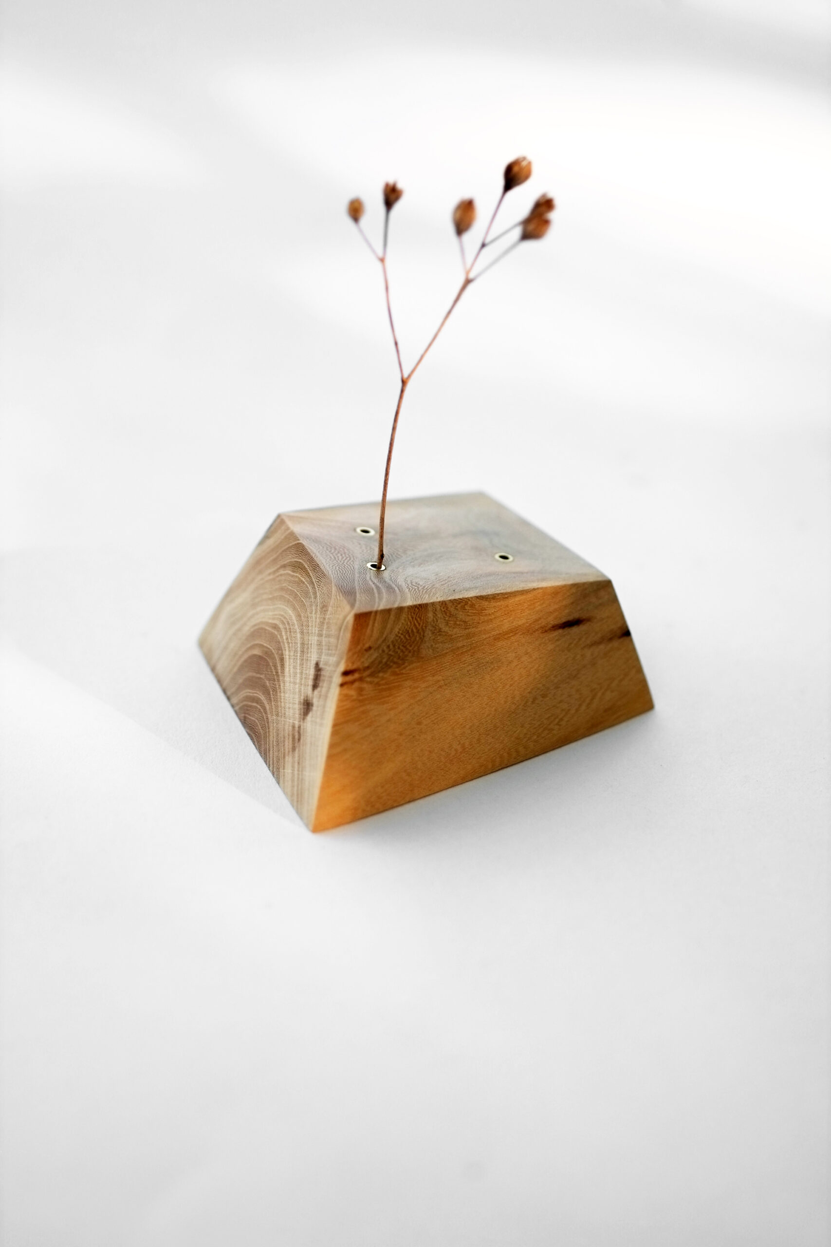Baumbiografie 005 aus altem Wildapfelholz – handgefertigtes Unikat