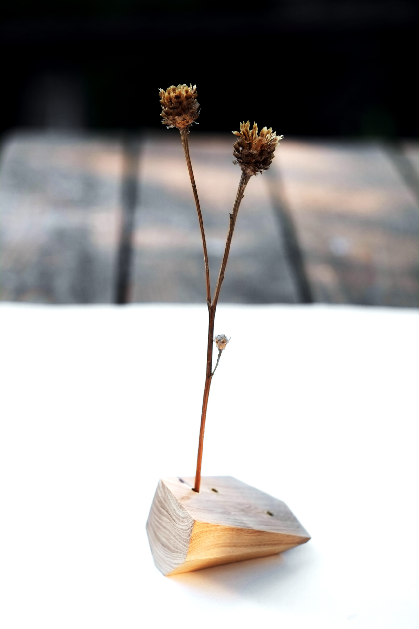 Baumbiografie // 022 // Uckermark · Wildapfel · 52.949373 N / 14.074137 E – Detailansicht 2