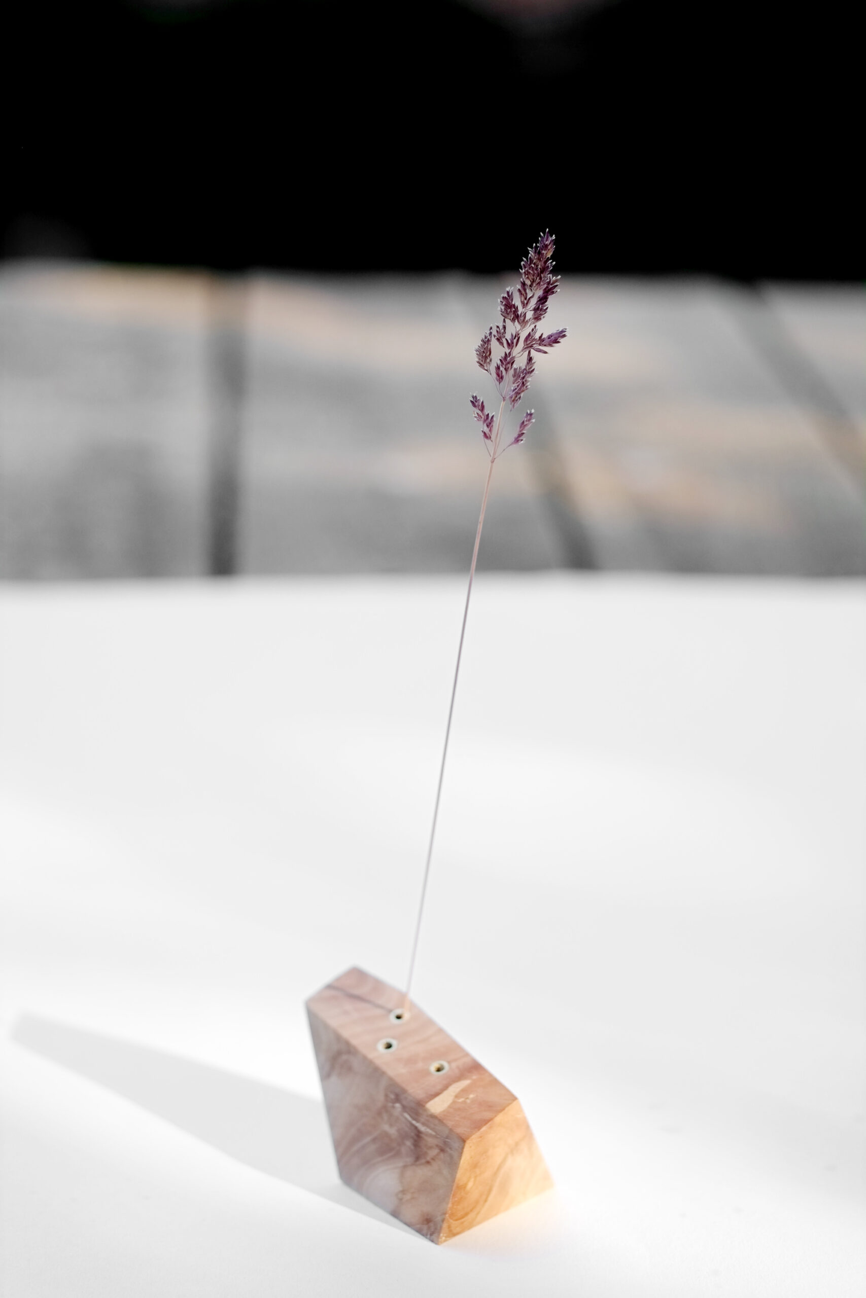 Baumbiografie // 021 // Uckermark · Kirsche · 52.95548 N / 14.08880 E – Detailansicht 4