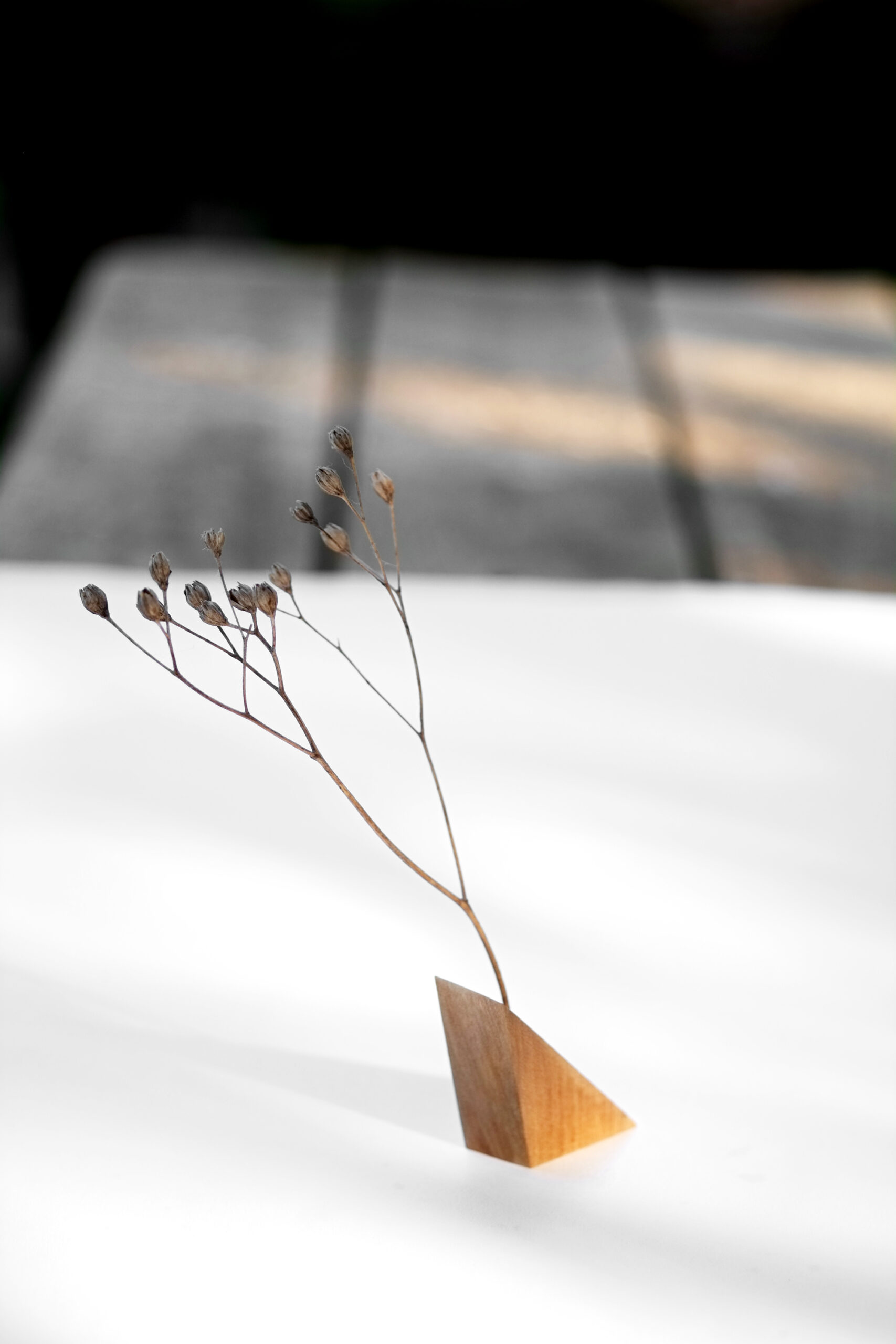 Baumbiografie // 024 // Uckermark · Kirsche · 52.949373 N / 14.074137 E – Detailansicht 1