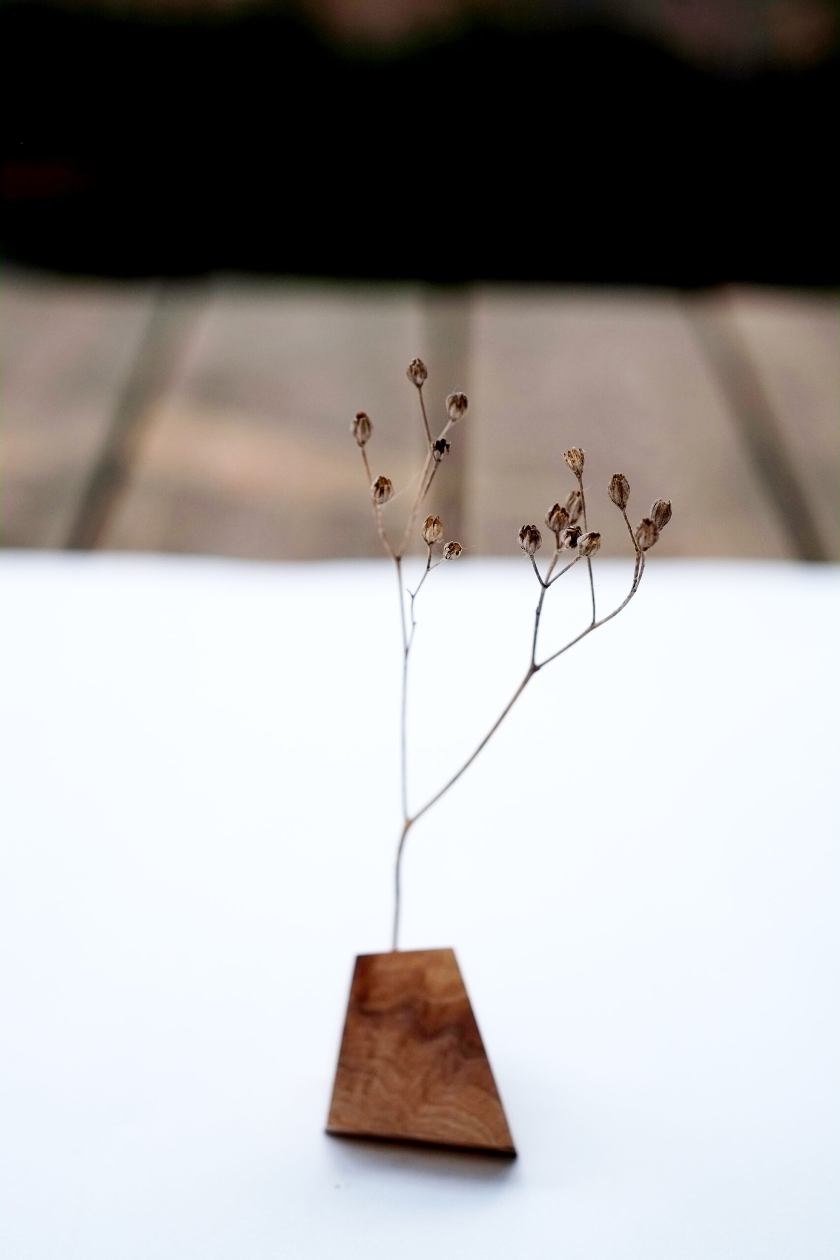 Baumbiografie // 026 // Uckermark · Kirsche · 52.949373 N / 14.074137 E – Detailansicht 3