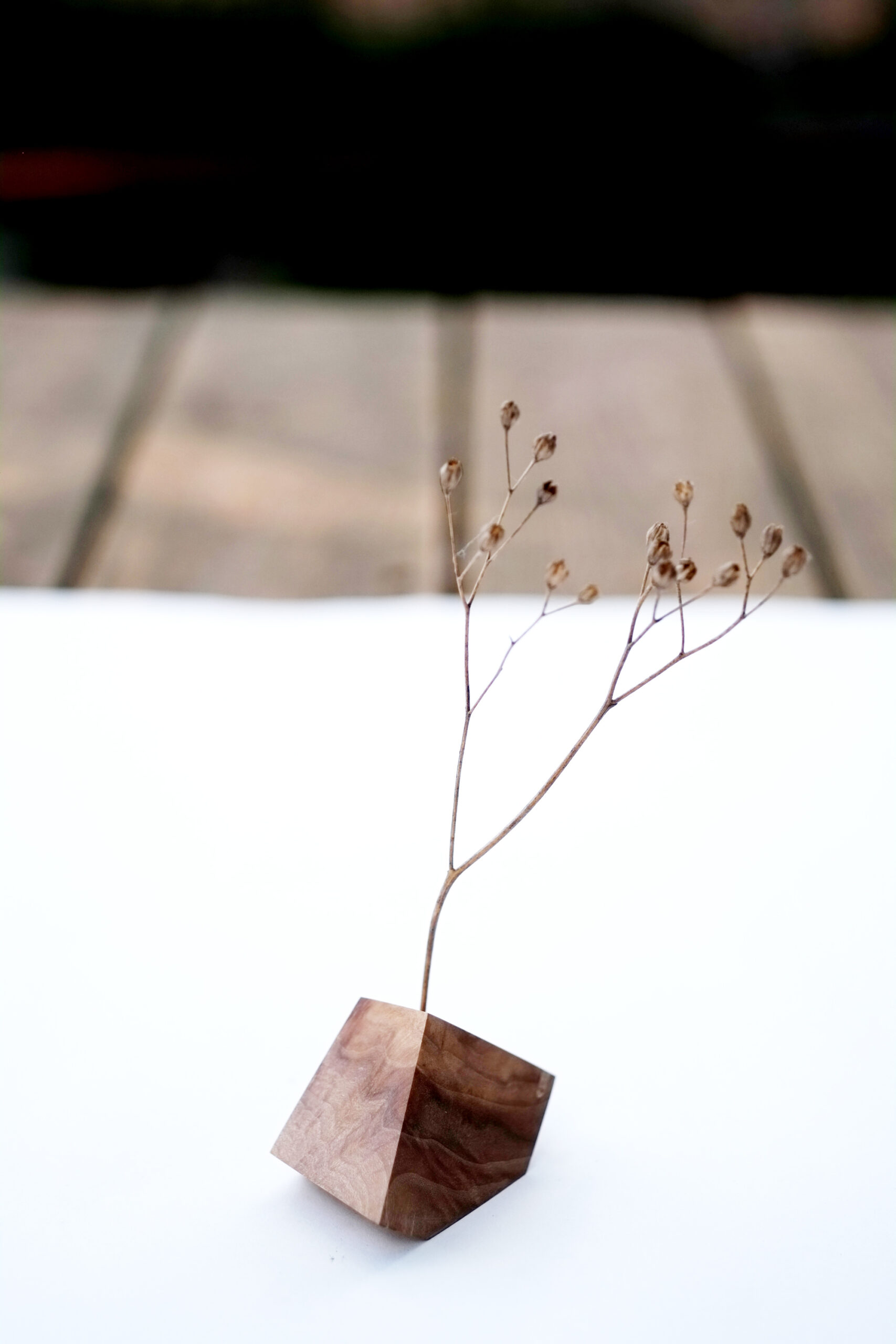 Baumbiografie // 026 // Uckermark · Kirsche · 52.949373 N / 14.074137 E – Detailansicht 2