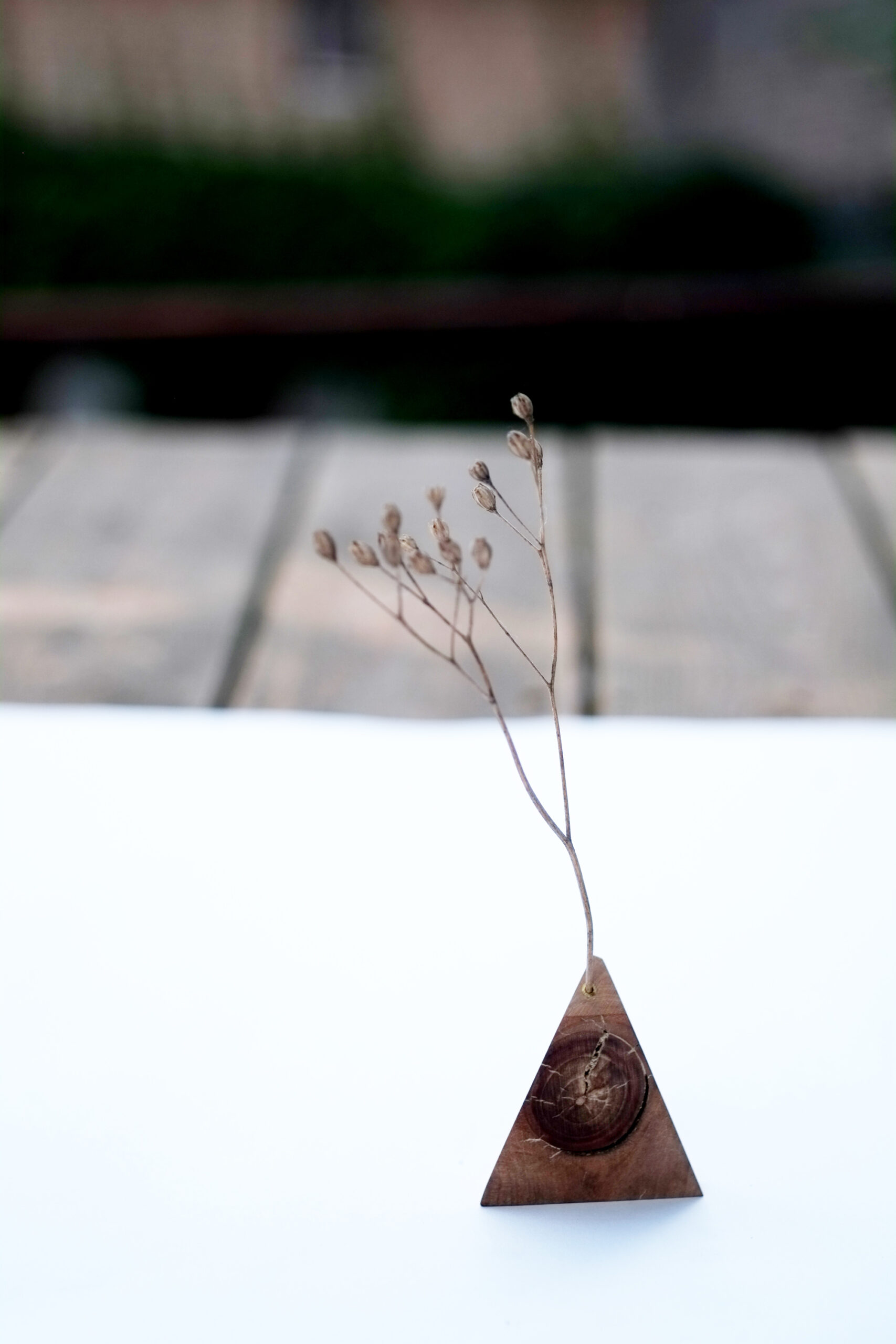 Baumbiografie // 027 // Uckermark · Kirsche · 52.949373 N / 14.074137 E – Detailansicht 2