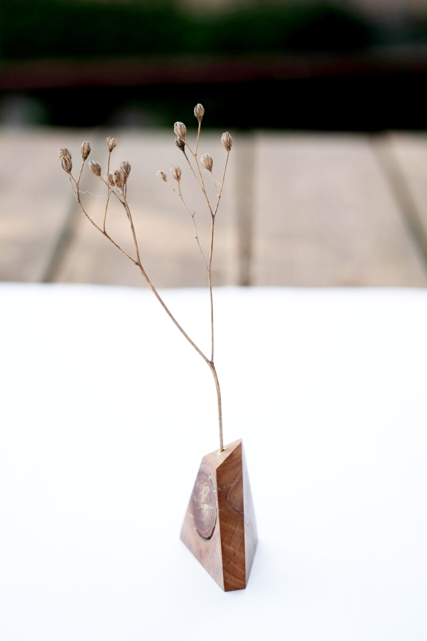 Baumbiografie // 027 // Uckermark · Kirsche · 52.949373 N / 14.074137 E – Detailansicht 6