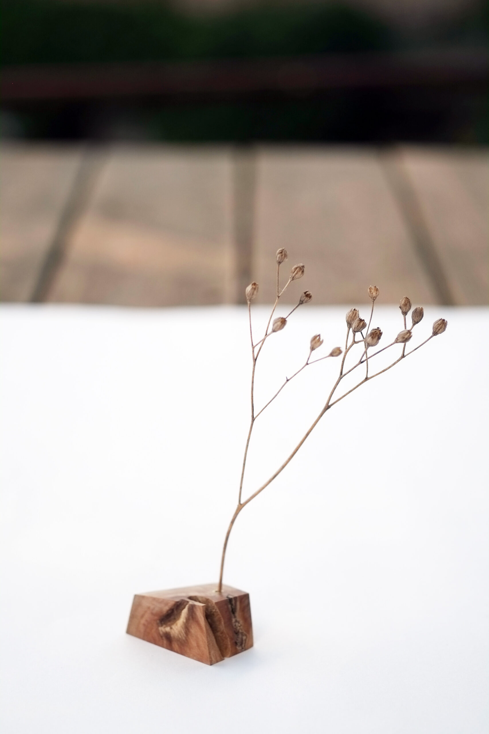 Baumbiografie // 029 // Uckermark · Kirsche · 52.949373 N / 14.074137 E – Detailansicht 3