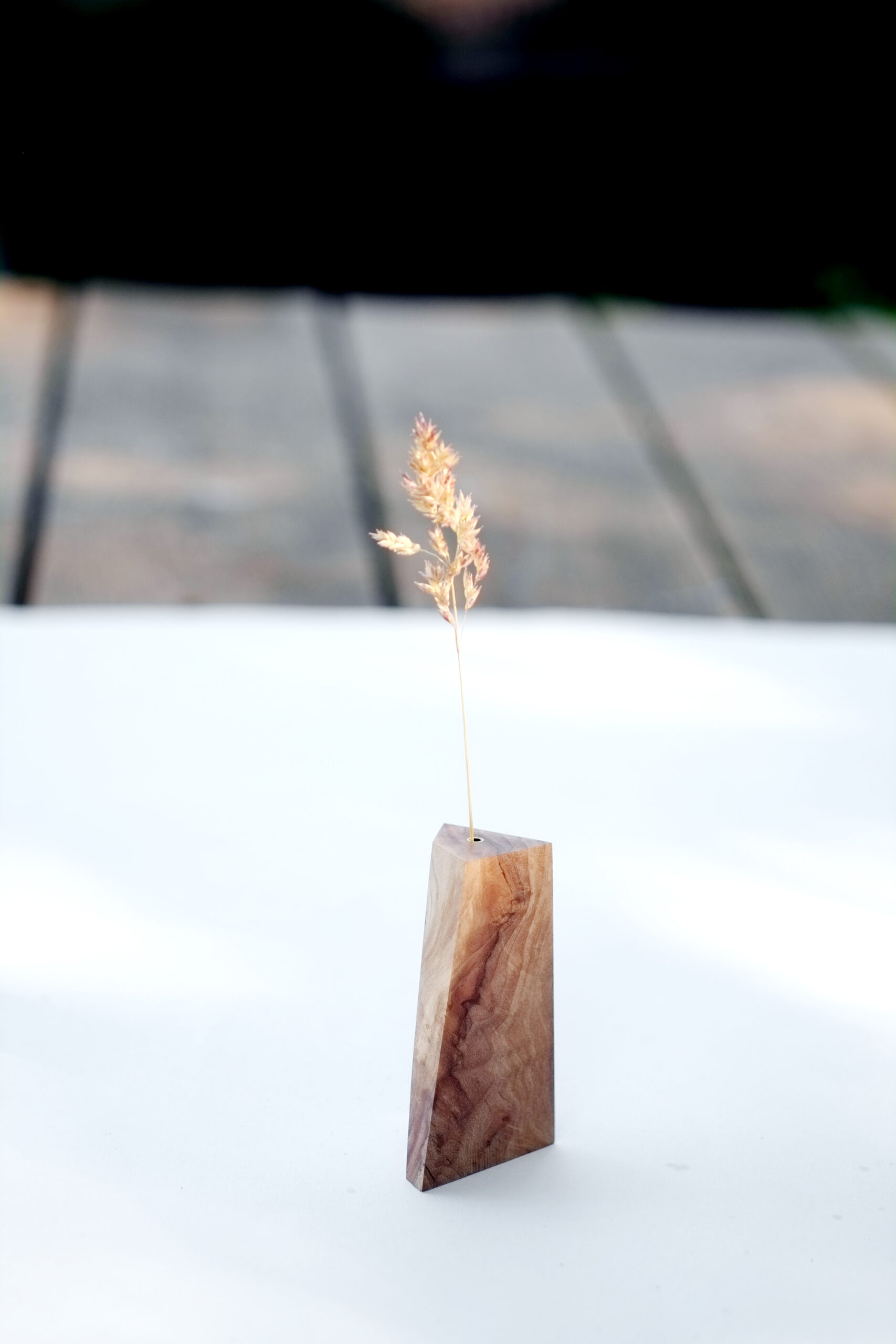 Baumbiografie // 009 // Uckermark · Kirsche · 52.949373 N / 14.074137 E – Detailansicht 4