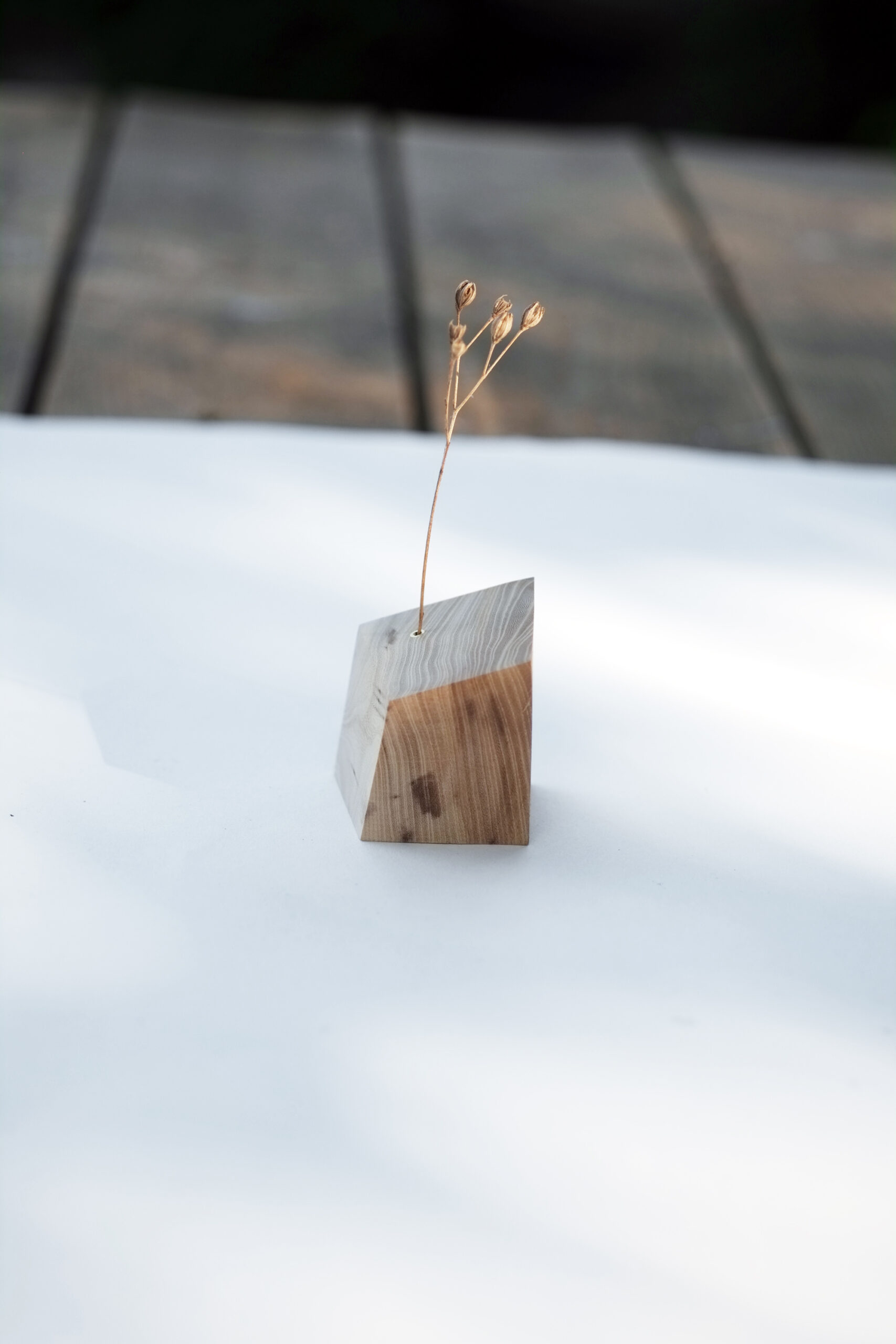 Baumbiografie // 010 // Uckermark · Wildapfel · 52.949373 N / 14.074137 E – Detailansicht 3