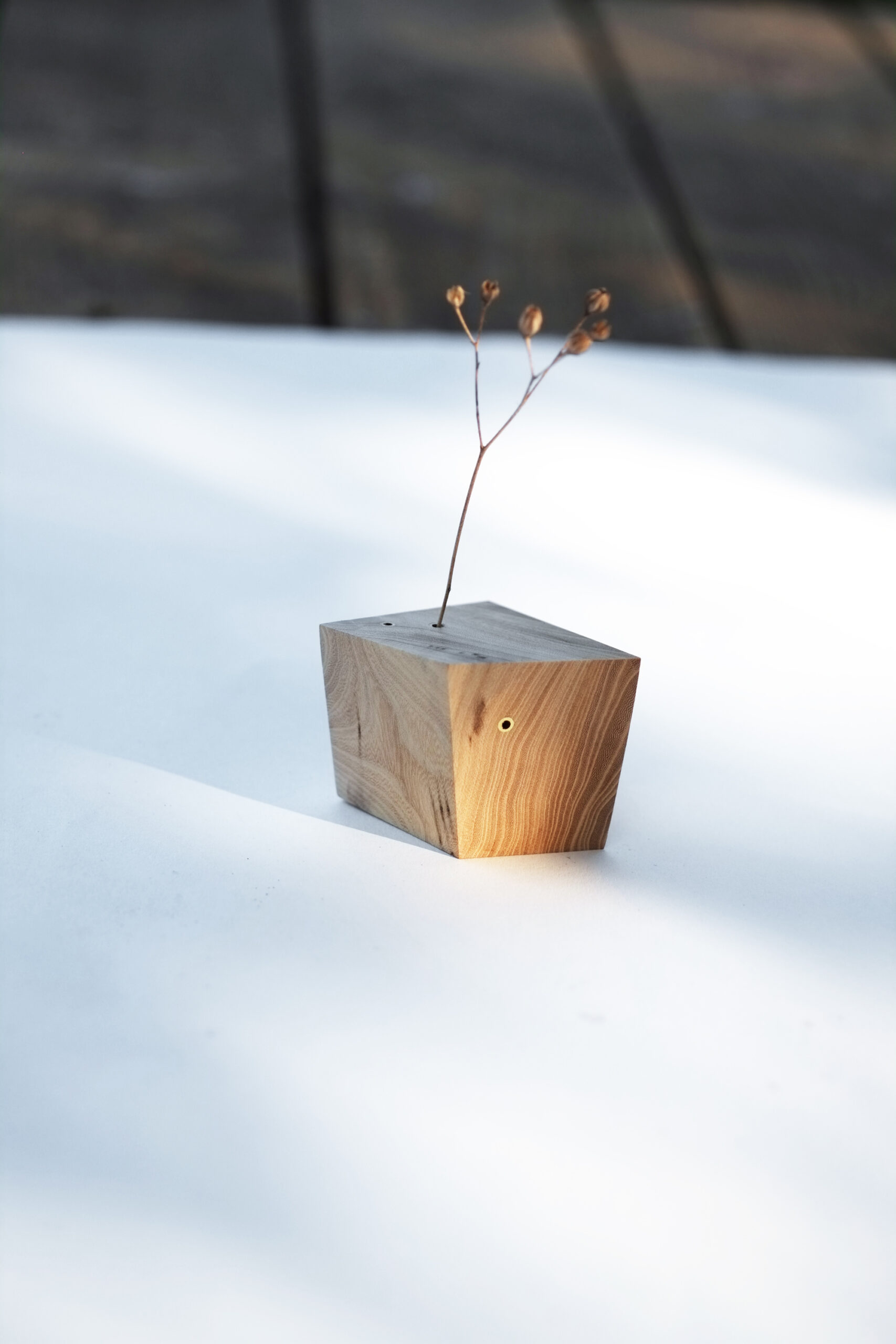 Baumbiografie // 010 // Uckermark · Wildapfel · 52.949373 N / 14.074137 E – Detailansicht 1