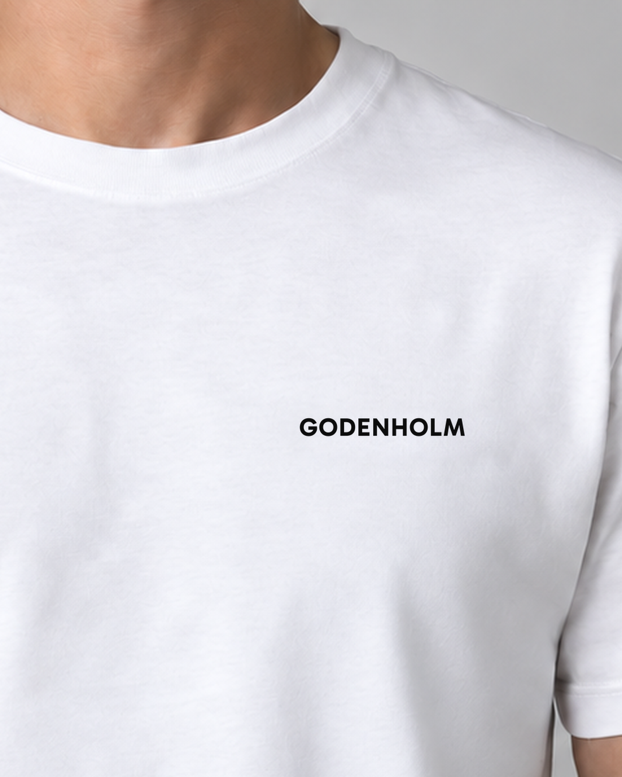 Godenholm / Ernst Jünger